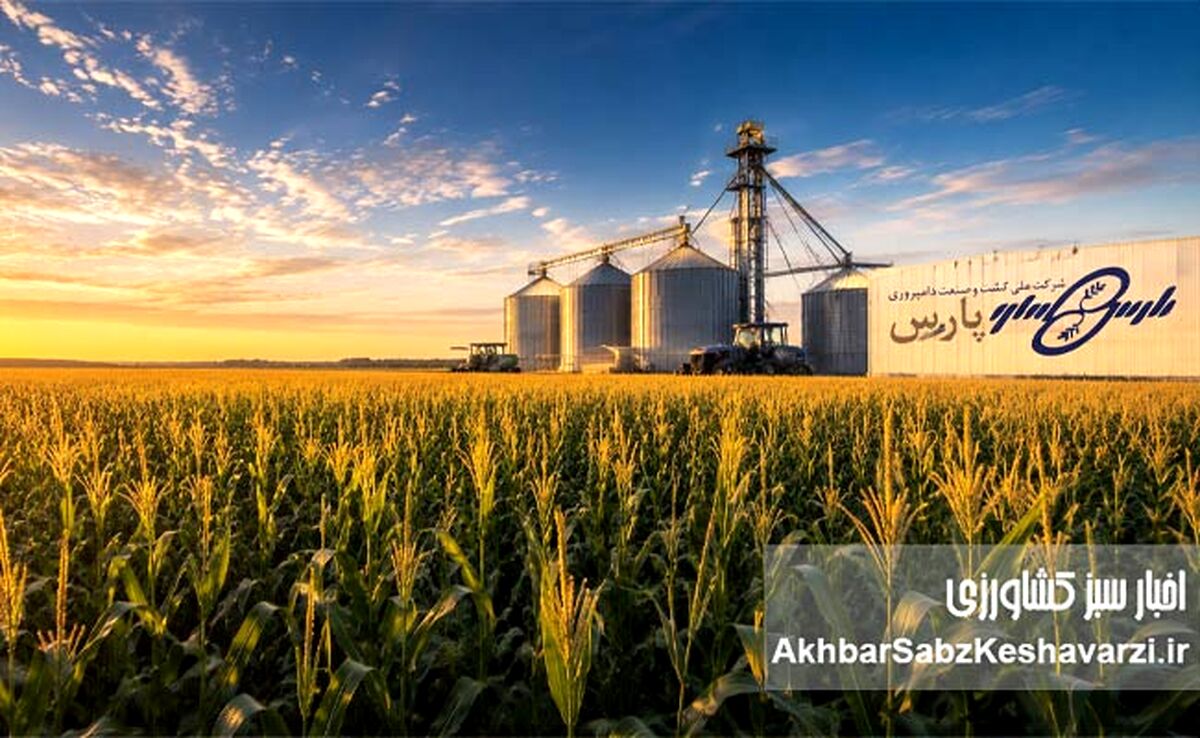 روایتی از پایان یک انتظار فرساینده؛ عبور «زپارس» از بحران ۳۰ ماهه