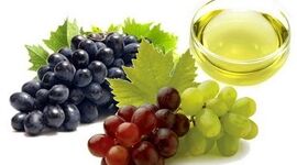 استخراج روغن هسته میوه‌ها؛ ارزش افزوده پنهان در تفاله صنایع