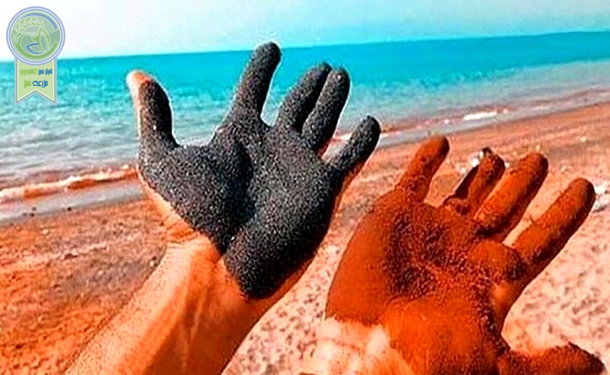 گردشگری بی‌ضابطه بلای جان سواحل نقره‌ای هرمزگان