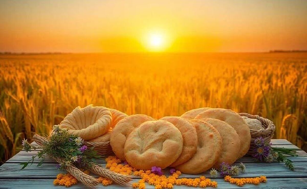 تأکید معاون وزیر جهاد کشاورزی بر ضرورت رویکرد علمی و هماهنگ در زنجیره گندم تا نان
