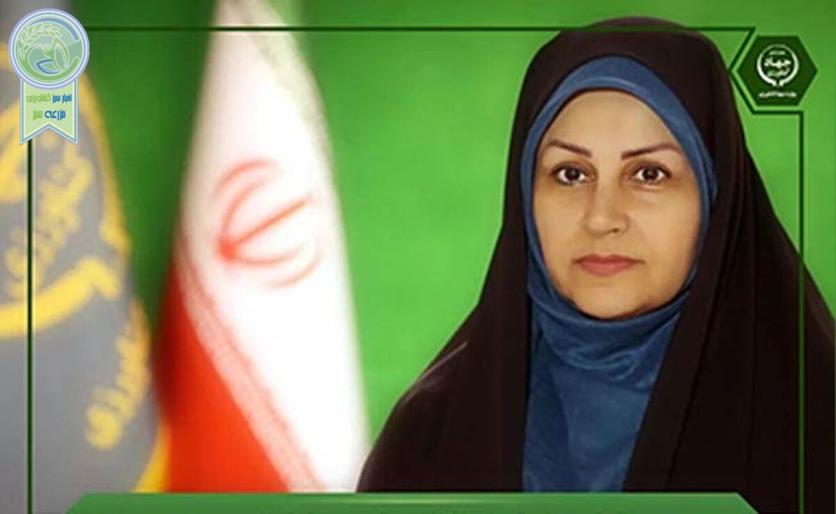 فریبا رضایی سرپرست معاونت تولیدات رسانه‌ای وزارت جهاد کشاورزی شد
