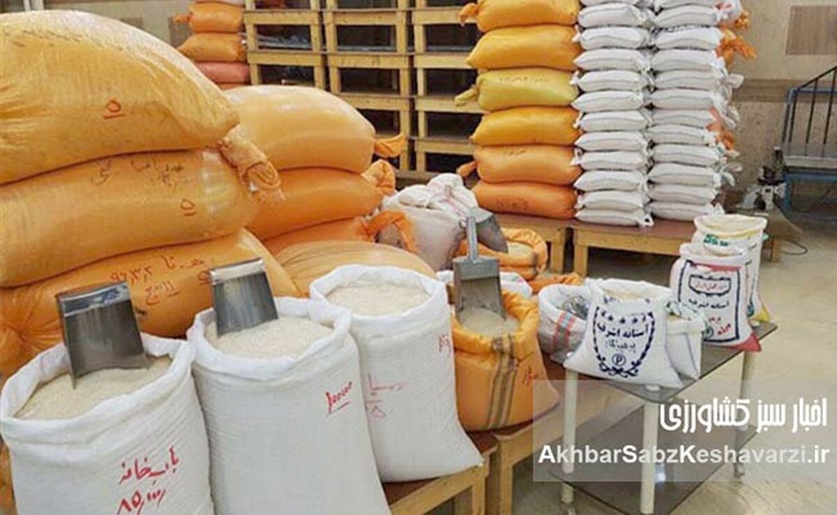 قیمت برنج در بازار ایران اعلام شد؛ نرخ جدید ۱۷۰ هزار تومانی و معمای واسطه‌ها!