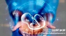 ناپدید شدن جنین‌ها در بیمارستان آبان؛ گزارشی تکان‌دهنده