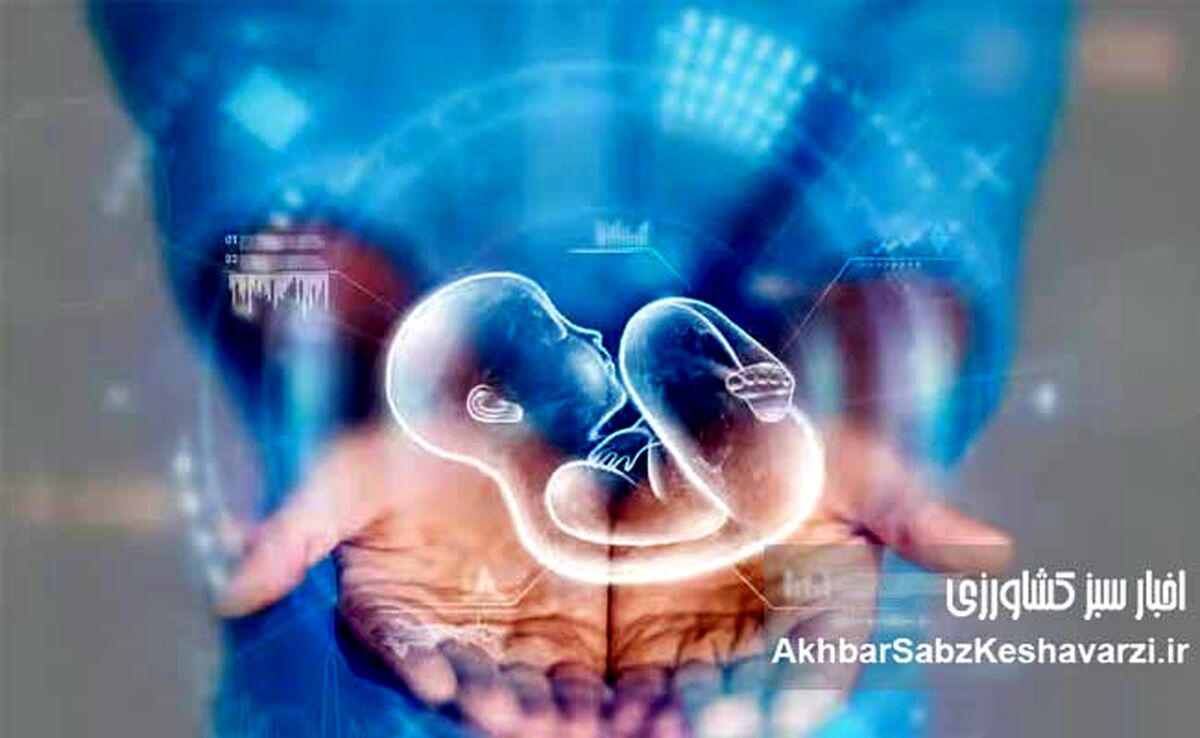 ناپدید شدن جنین‌ها در بیمارستان آبان؛ گزارشی تکان‌دهنده