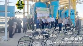  برگزاری یازدهمین دوره کاروان ترویج الگوی کشت ملی با مشارکت فعال صندوق بیمه کشاورزی
