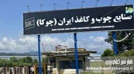چوکا و هشدار بزرگ: بنگاه‌ها چگونه قربانی مدیران شدند؟