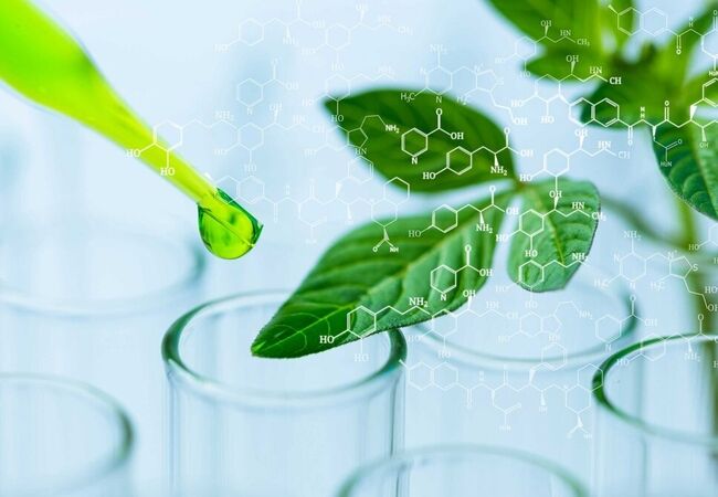 نقش کلیدی آمونیاک سبز در تحول تولید کودهای نیتروژنه