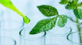 نقش کلیدی آمونیاک سبز در تحول تولید کودهای نیتروژنه