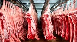 واردات ۱۸۱ هزار تن گوشت قرمز از ابتدای سال

