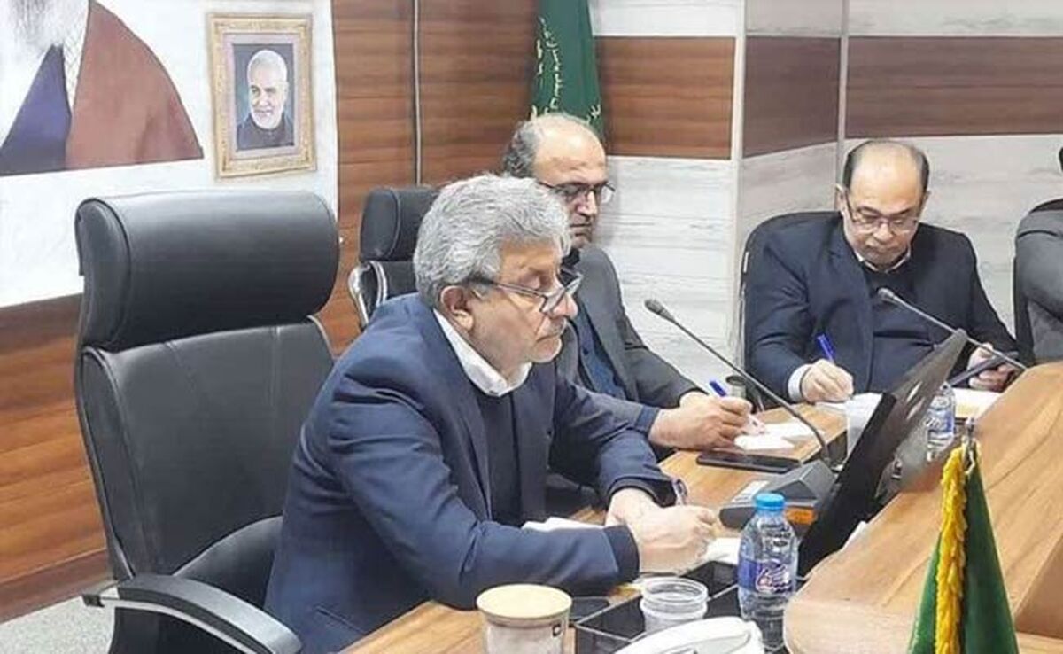مهاجر: بیمه یکی از مهمترین فاکتورها برای کشاورزی است
