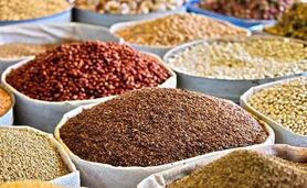 قیمت نهاده های دامی و کشاورزی ۲۶ اسفند ۱۴۰۲

