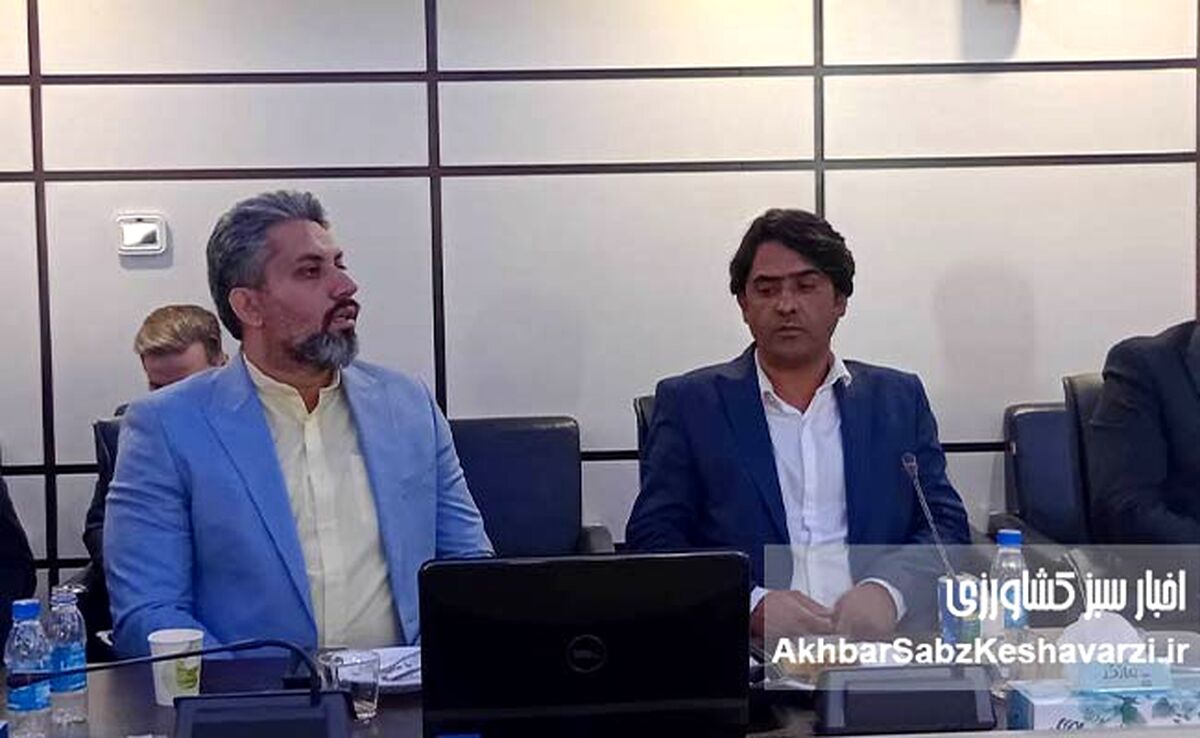 تاکید ناصر پردانگ بر نقش حیاتی بیمه کشاورزی در حمایت از کشاورزان هنگام خسارت