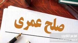 چه کنیم مرگ ما شروع دردسر فرزندان نباشد