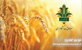 جهش تاریخی سرمایه صندوق بیمه کشاورزی؛ افزایش ۴۰۰۰ درصدی پس از تصویب مجمع عمومی