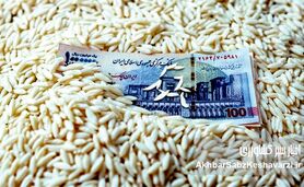 قیمت برنج: وعده کاهش عملی نشد؛ سفره‌ها همچنان خالی!