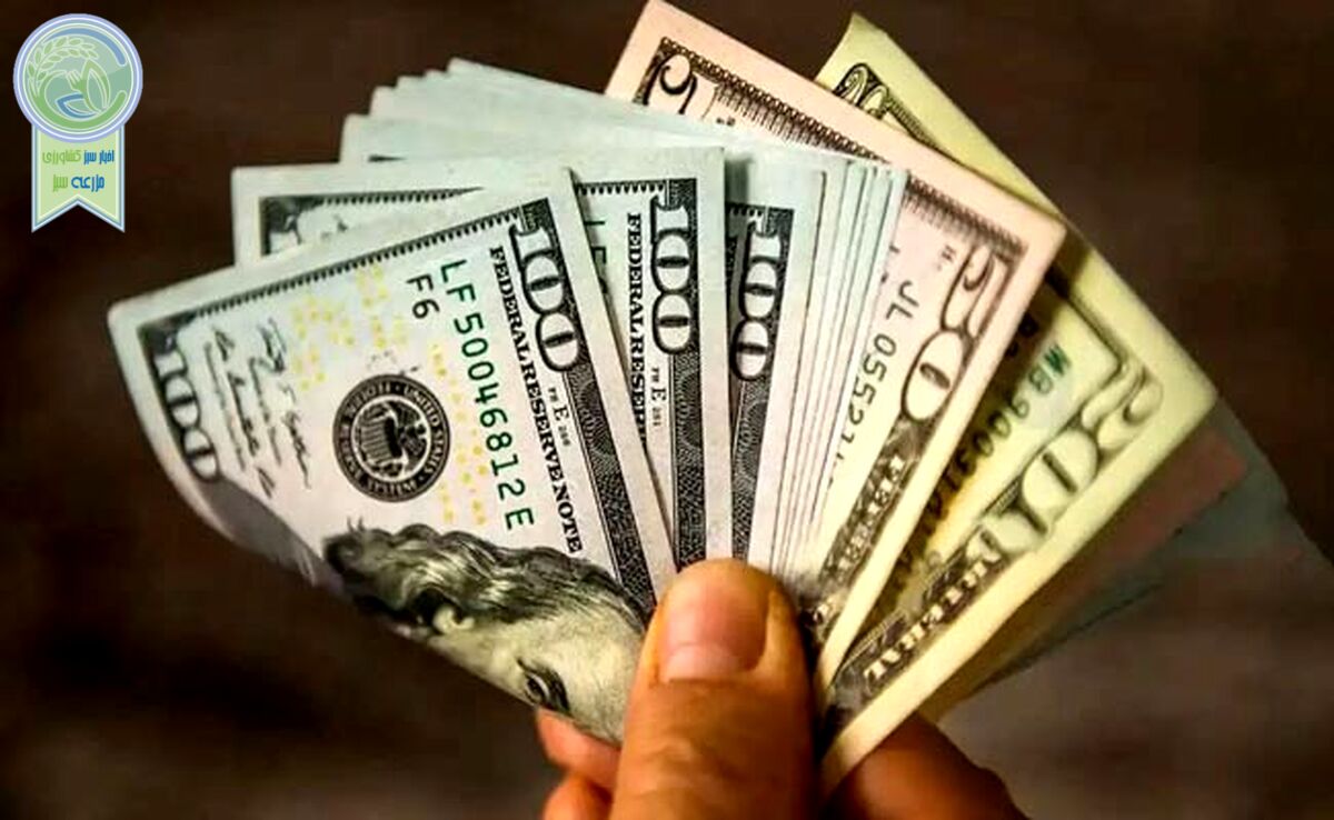 قیمت دلار و یورو امروز دوشنبه ۱۷ اردیبهشت ۱۴۰۳+جدول

