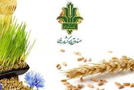 بیمه کشاورزی؛ پشتیبان تولید و تولیدکننده در برابر خطرات


