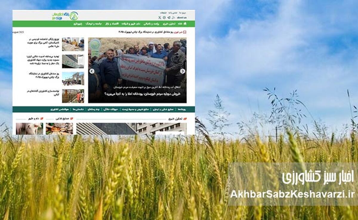 خطرات هک شدن اطلاعات شخصی در کانال‌های واتساپ؛ آیا شما در امانید؟