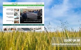 خطرات هک شدن اطلاعات شخصی در کانال‌های واتساپ؛ آیا شما در امانید؟