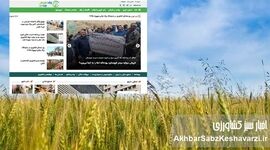 خطرات هک شدن اطلاعات شخصی در کانال‌های واتساپ؛ آیا شما در امانید؟