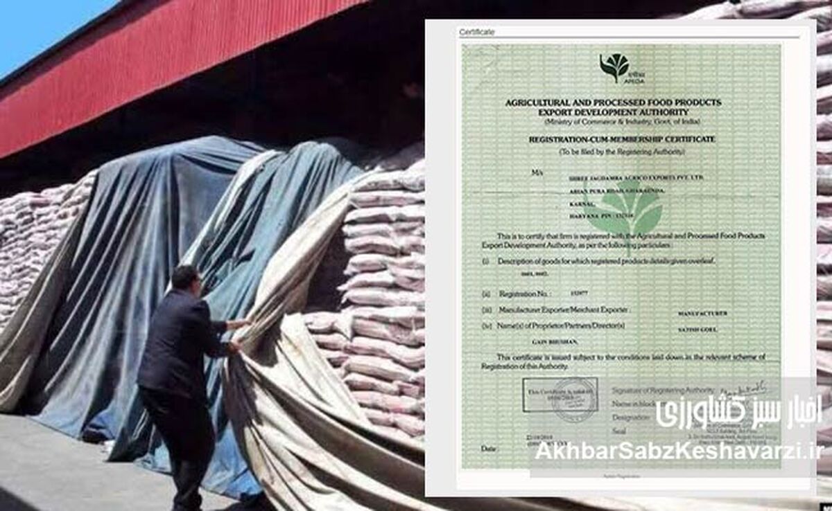پشت‌پرده واردات برنج هندی و معمای پرونده ۲۴ همتی؛ تقدیر از تاجر خارجی در میان ابهامات مالی