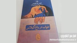 پشت پرده‌ی خاطره و مرگ؛ واکاوی جهان داستانی ازهر جرجیس در رمان «خواب در باغ گیلاس»