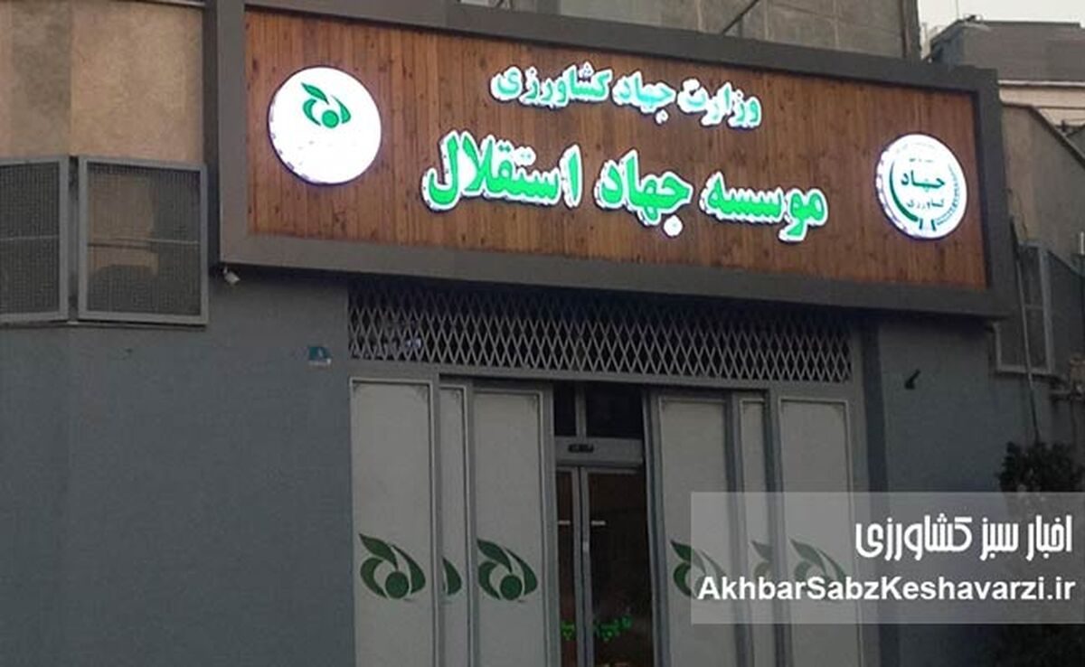 مدیرعامل اختلاسگر با وجود حکم قطعی اختلاس همچنان بر مسند مدیریت؛ معاون پرحاشیه و مدیرعامل وارداتی هم در تدارک سفر خارجی!
