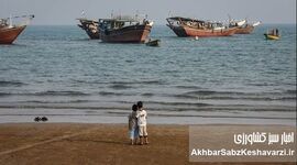 منطقه آزاد تجاری؛ فرصت اقتصادی یا چالش حقوق شهروندی؟ نقشه راه شوراهای شهر
