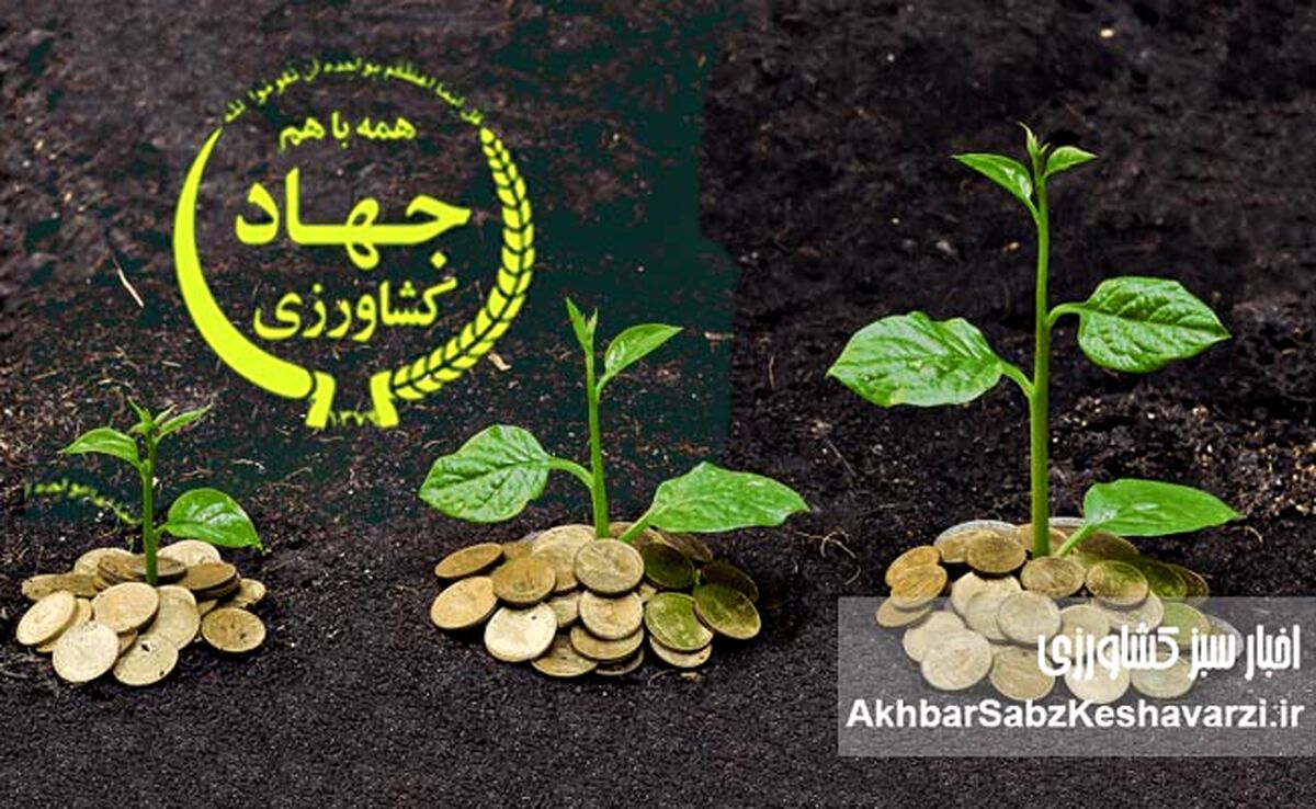 فاجعه در بخش کشاورزی ایران؛ رشد منفی 3.5درصدی در خرداد
