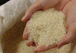 تکرار استراتژی چای دبش در بازار برنج