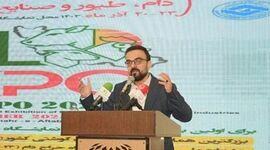 نمایشگاه تخصصی دام، طیور بستری برای ارائه توانمندی تشکل‌ها

