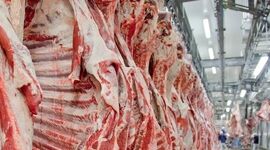 دادخواهی در پیشگاه ملت

