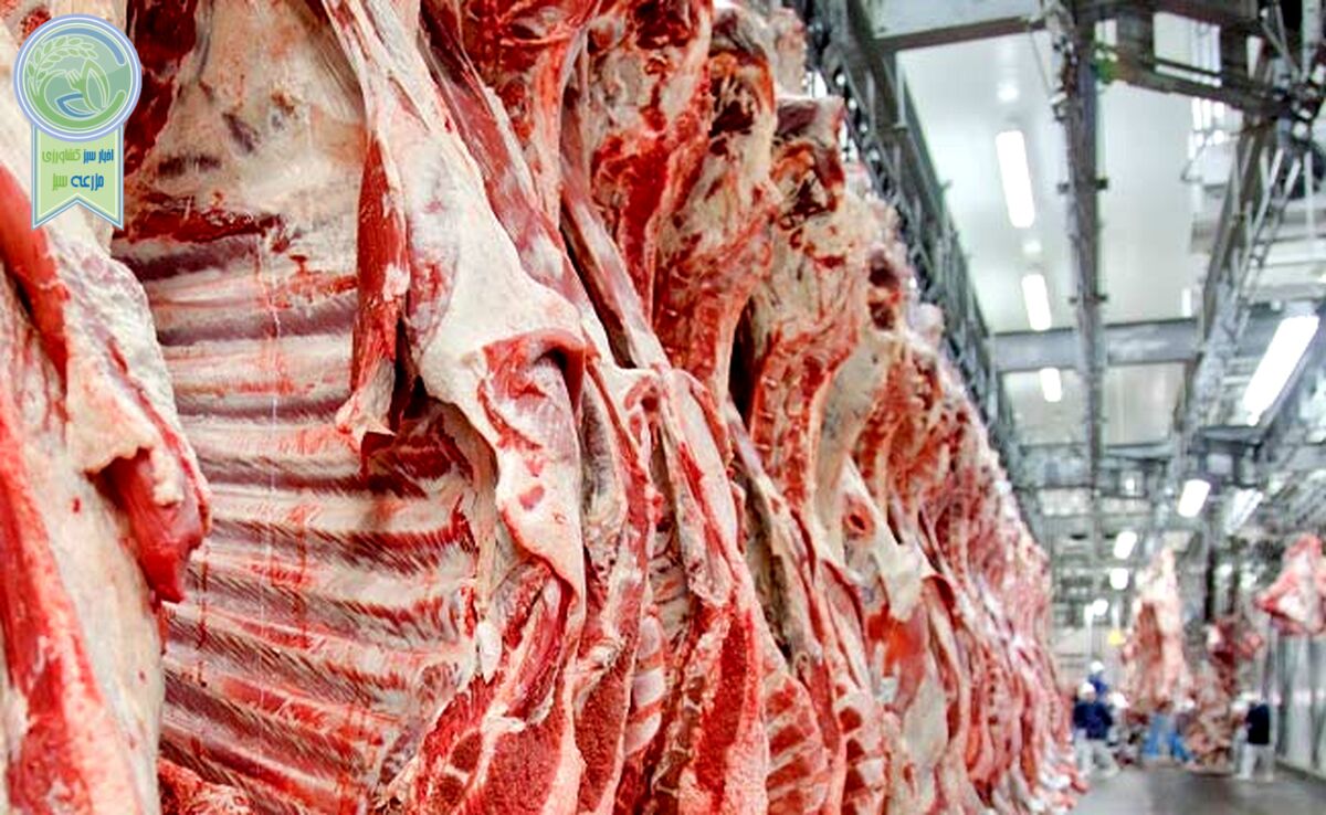 دادخواهی در پیشگاه ملت

