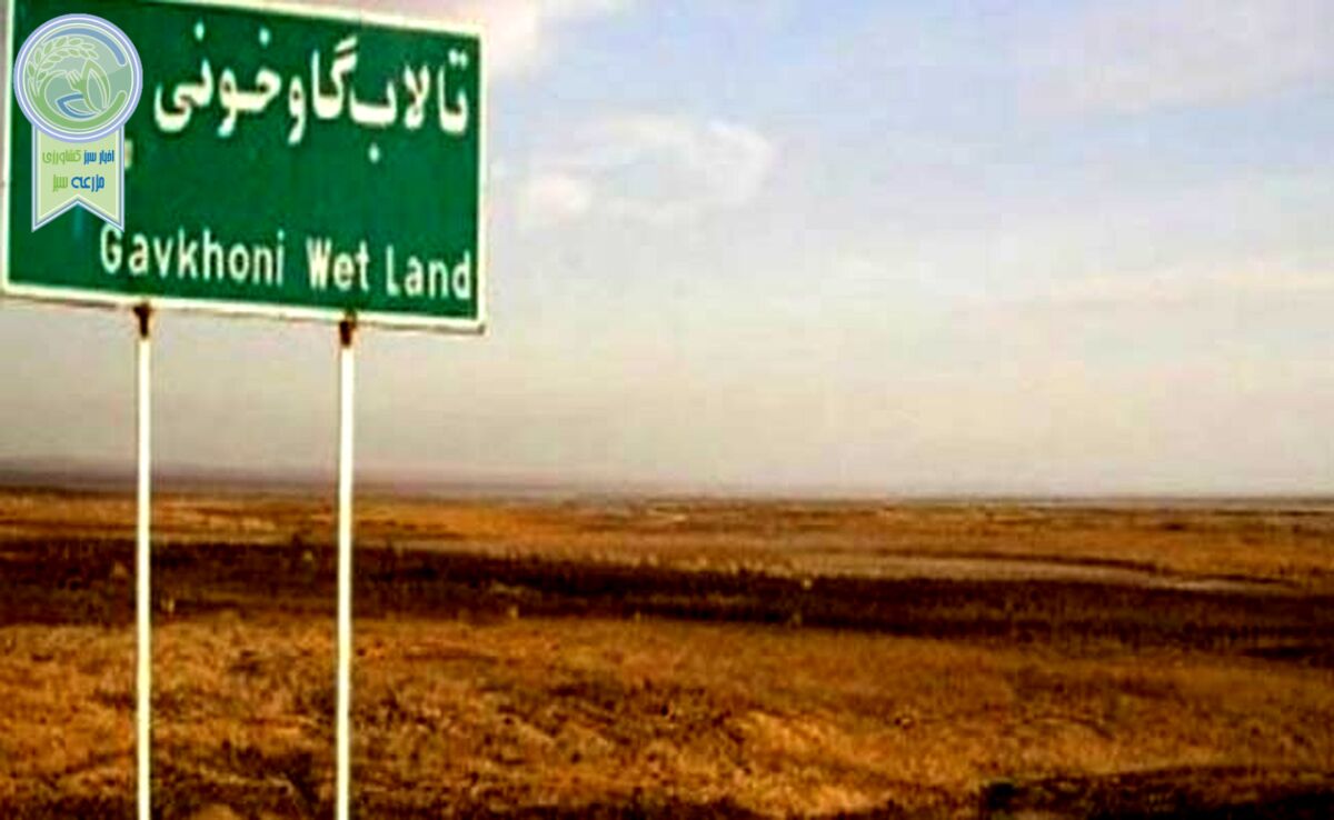 وجود فلزات سنگین در گردوغبار تالاب گاوخونی

