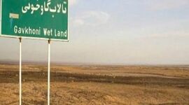 وجود فلزات سنگین در گردوغبار تالاب گاوخونی

