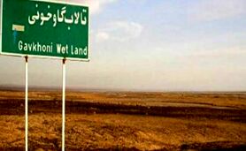 وجود فلزات سنگین در گردوغبار تالاب گاوخونی

