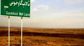 وجود فلزات سنگین در گردوغبار تالاب گاوخونی

