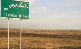 وجود فلزات سنگین در گردوغبار تالاب گاوخونی

