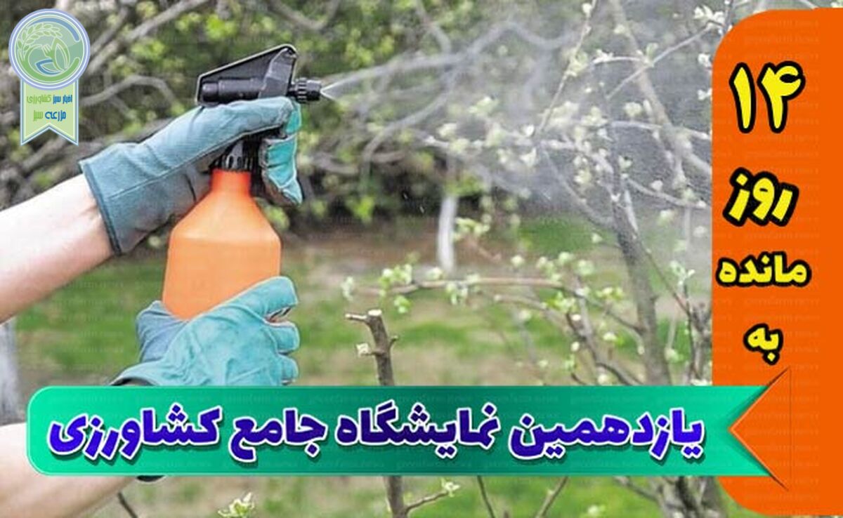 برگزارکنندگان نمایشگاه به غرفه‌داران خدماتی ویژه ارائه دهند

