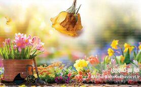 مدیریت عوامل بیماری‌زا در گل‌های شاخه بریده