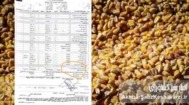 شوک فیش‌های بیمارستانی؛ هزینه نهاده های دامی از جیب بیماران!