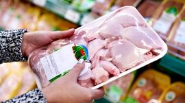 داستان داغ بازار مرغ: سقف قیمت فروش اعلام شد!