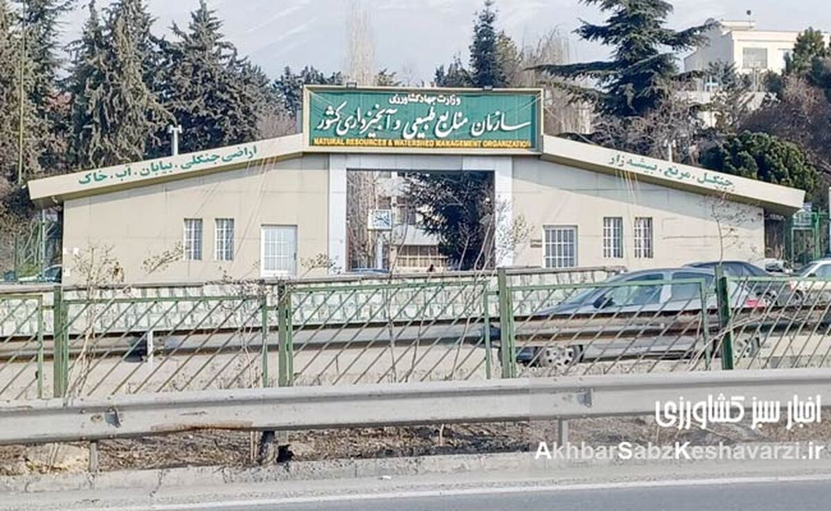 حقوق‌های نجومی مدیران در برابر جیب خالی جنگل‌بانان!
