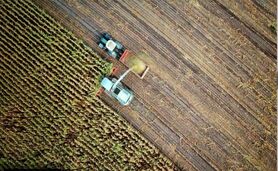 انحصار در کشاورزی؛ از بذر تا محصول نهایی+ ویدئو

