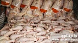 دریچه جدید تأمین پروتئین: واردات گوشت و مرغ از ترکیه تأیید شد