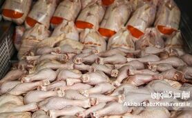 دریچه جدید تأمین پروتئین: واردات گوشت و مرغ از ترکیه تأیید شد