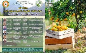 رویداد ملی زوال مرکبات، چالش‌ها، راهکارها و برنامه آینده

