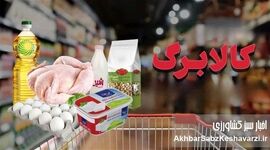 سبد زندگی هر روز کوچک‌تر می‌شود؛ کالابرگ چرا جواب نمی‌دهد؟