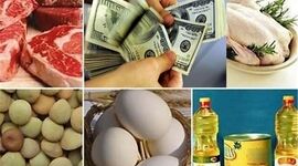 بازطراحی تأمین ارز کالاهای اساسی؛ واردات کشاورزی در آستانه تغییر مسیر