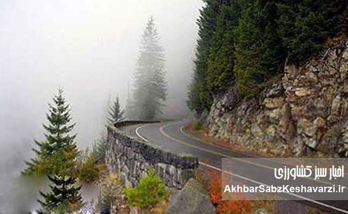 جاده چالوس؛ کیمیاگری توسعه یا معمای محدودیت‌ها؟